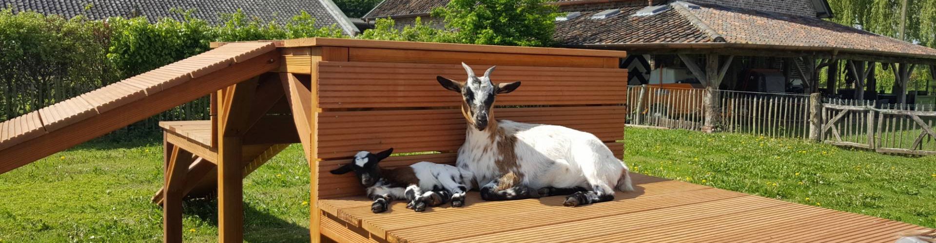 Hovershof Boerderij- en Minicamping - Mogelijkheden